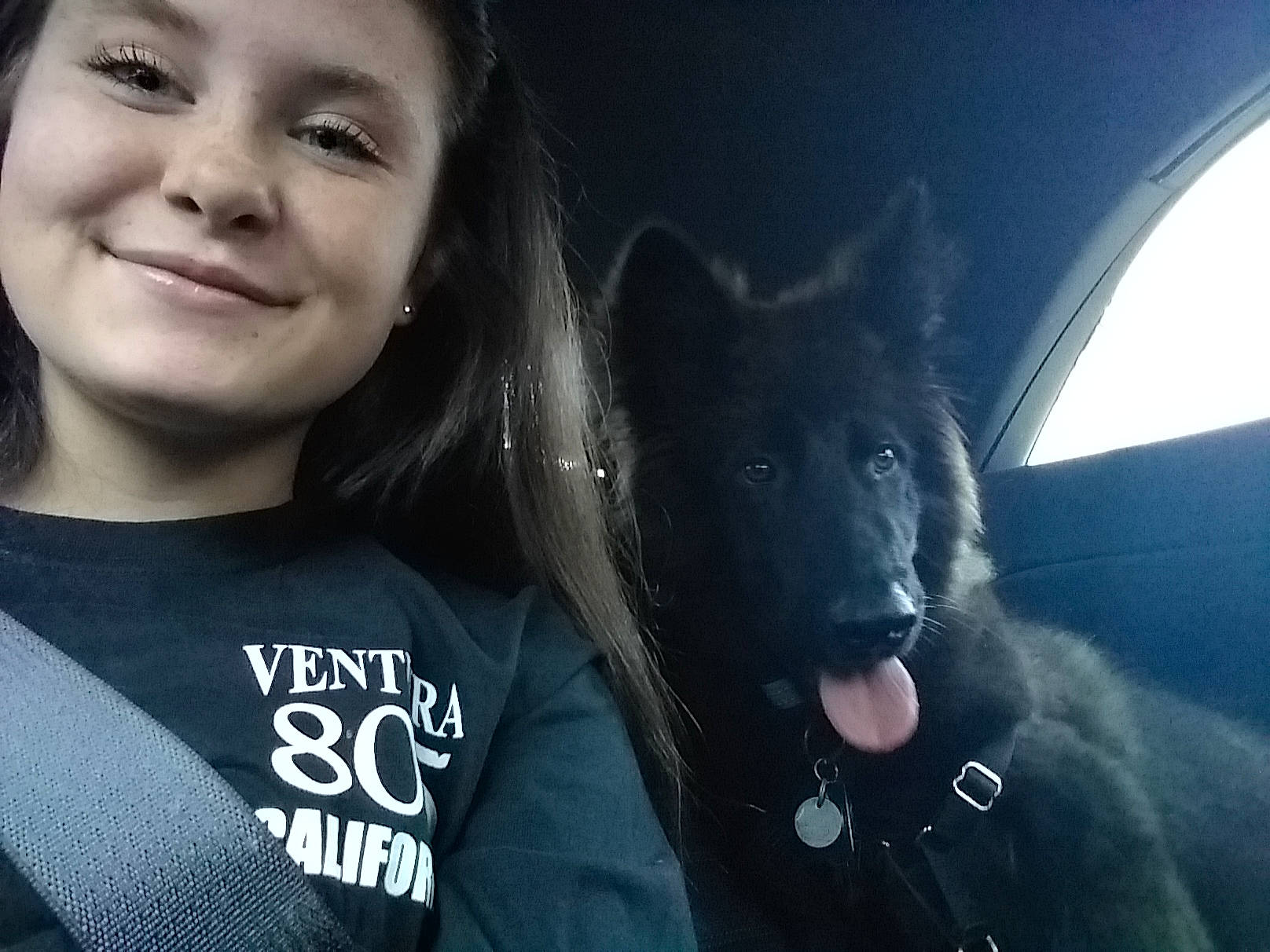 Blackjack is registered to the contest to win money with this photo: