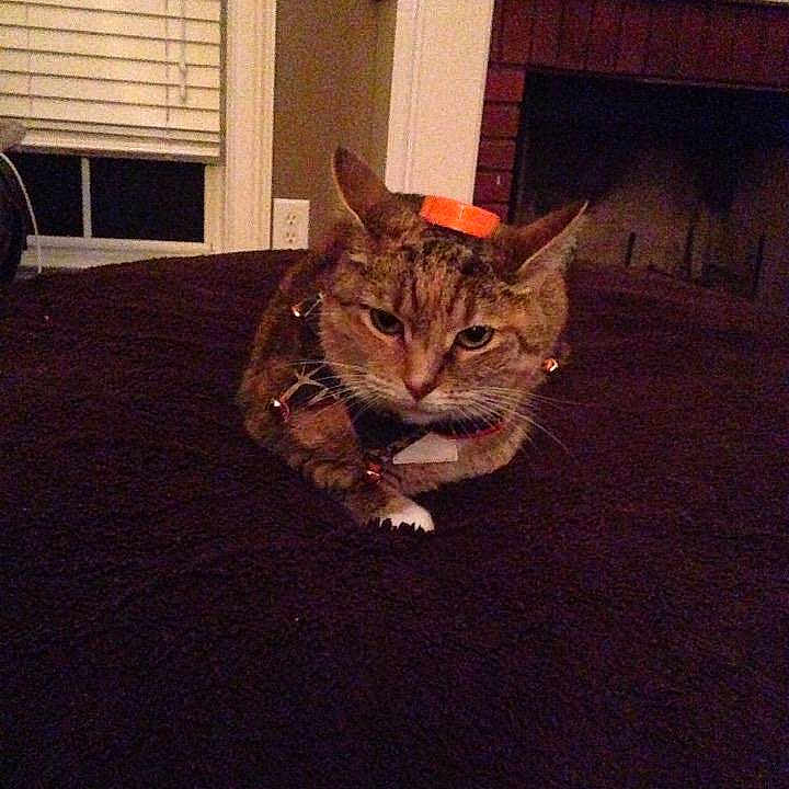 Sophie