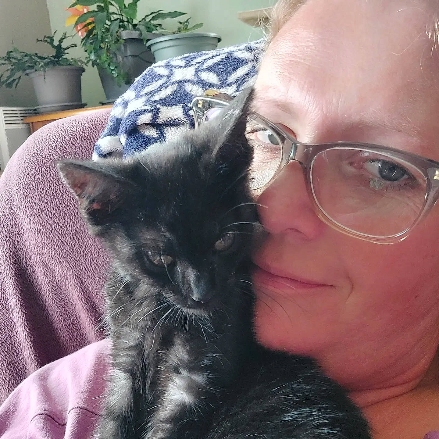 Noisette participe au concours pour gagner de l'argent avec cette photo : carnivore, cat, comfort, domestic_short_haired_cat, ear, eyewear, felidae, flowerpot, gesture, glasses, happy, houseplant, iris, lap, plant, small_to_medium_sized_cats, smile, vertebrate, vision_care, whiskers