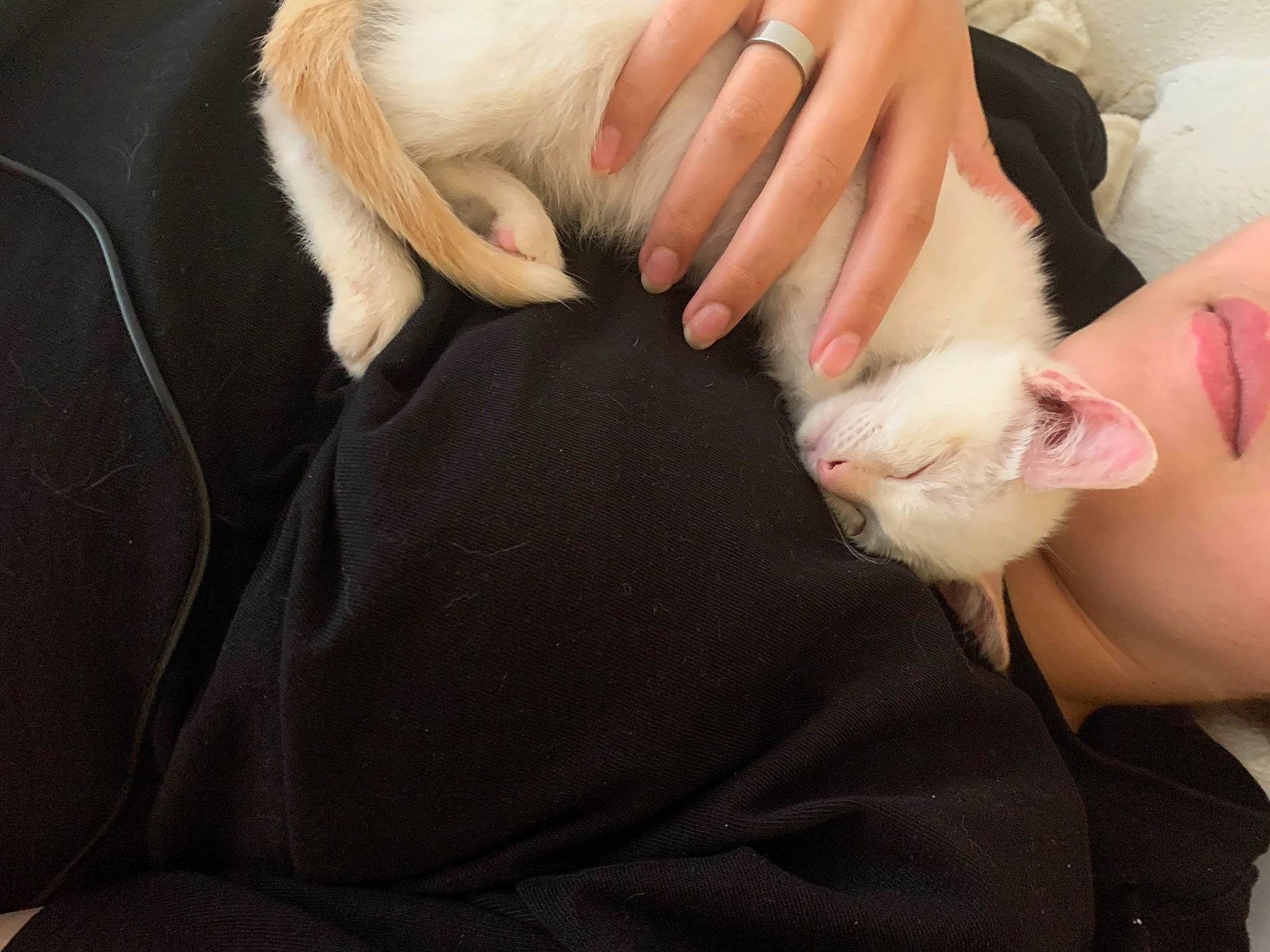 Bhoot a rejoint le concours — aidez-le/la à gagner de superbes lots ! beard, carnivore, comfort, companion_dog, ear, eyelash, fawn, felidae, finger, gesture, hand, jaw, nail, skin, small_to_medium_sized_cats, snout, sunglasses, thumb, whiskers, wrist