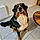 Balou