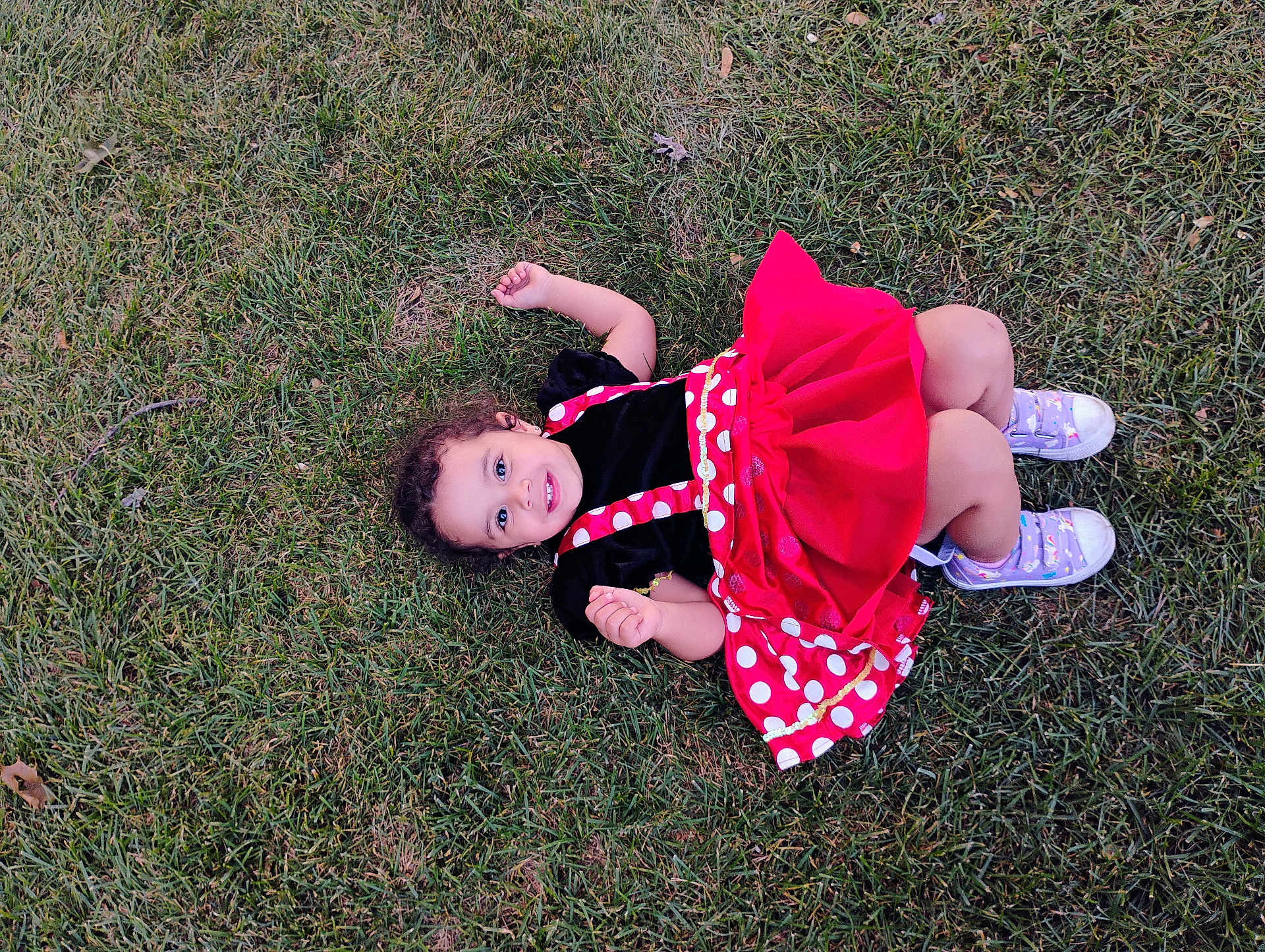 Shama is registered to the contest to win money with this photo: casual, child, curly_hair, cute, dress, fun, grass, happy, lying_down, nature, outdoor, person, playful, polka_dots, purple_shoes, red_dress, smiling, sneakers, toddler, young_child