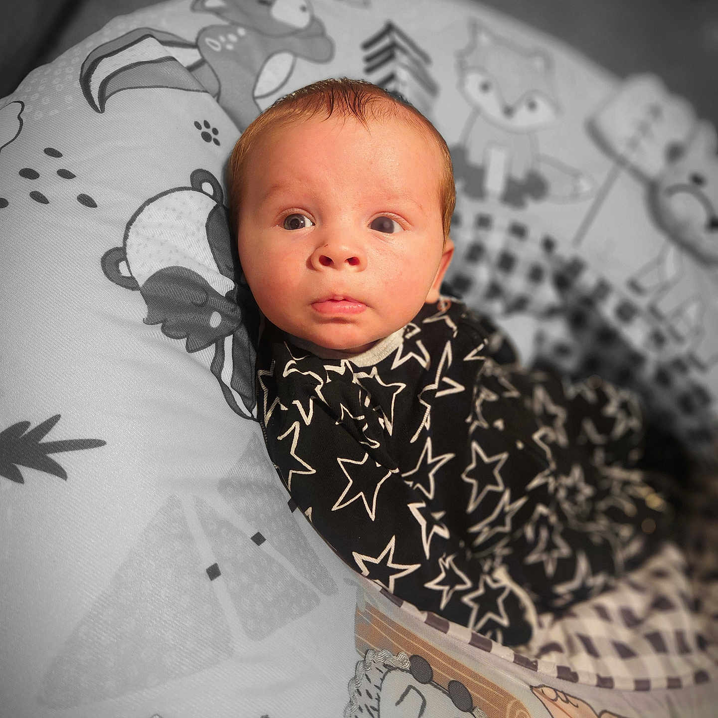 Arlo joined the competition — help win amazing prizes! baby, bed, blanket, bodypart, clothing, couch, cushion, face, finger, furniture, hand, head, homedecor, newborn, person, photography, pillow, portrait, quilt, t_shirt