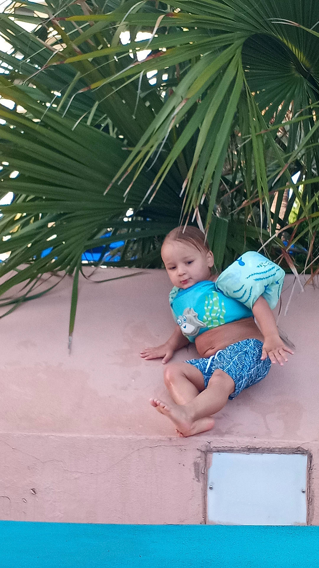 Greyson is registered to the contest to win money with this photo: arecales, baby, baby_toddler_clothing, barefoot, electric_blue, foot, fun, happy, leisure, outdoor_furniture, palm_tree, pattern, person, plant, sandal, sitting, terrestrial_plant, thigh, toddler, tree