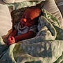 K'Rson is registered to the contest to win money with this photo: baby, sleeping, blanket, green, cushion, infant, child, resting, cozy, soft, pattern, fabric, seat, peaceful, indoors, newborn, wrapped, comfort, cute, portrait