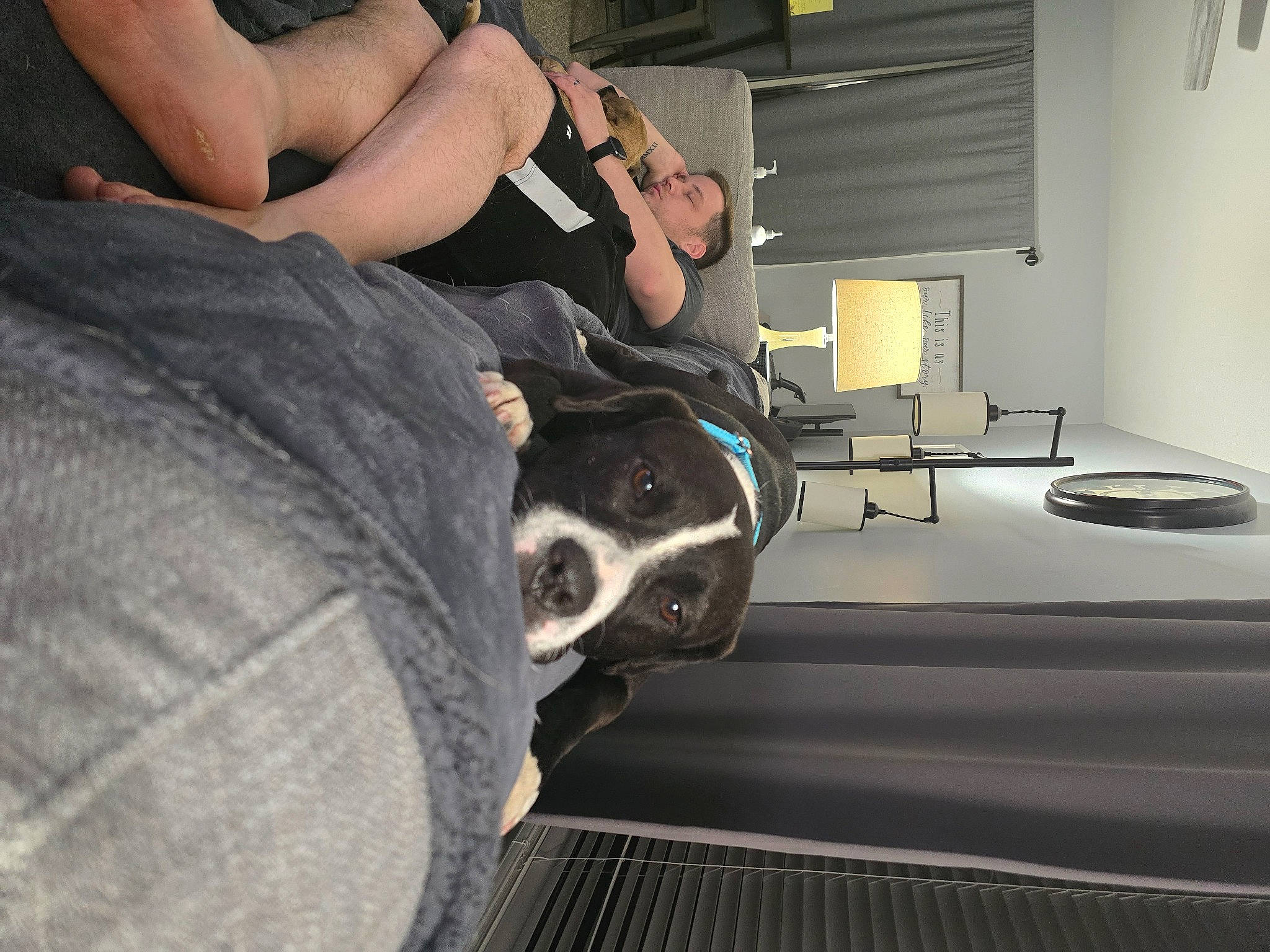 Madame is registered to the contest to win money with this photo: audio_equipment, auto_part, automotive_design, automotive_exterior, automotive_tire, bumper, carnivore, chest, comfort, companion_dog, dog, dog_breed, elbow, eyewear, hand, human_leg, leg, thigh, vehicle_door, wrist