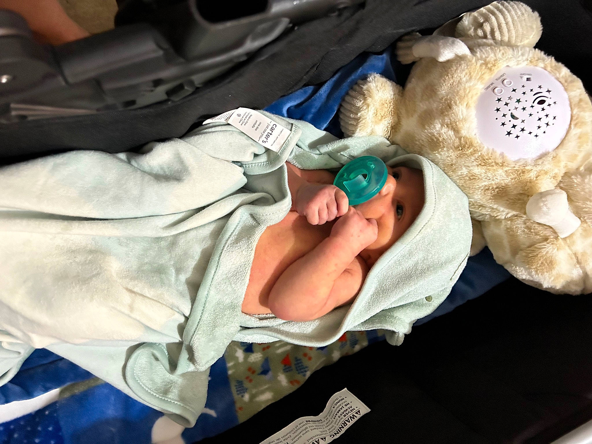 Blaze is registered to the contest to win money with this photo: baby, baby_products, car_seat, child, comfort, fashion_accessory, headwear, health_care, linens, nail, person, room, stuffed_toy, teddy_bear, toddler, vehicle_door