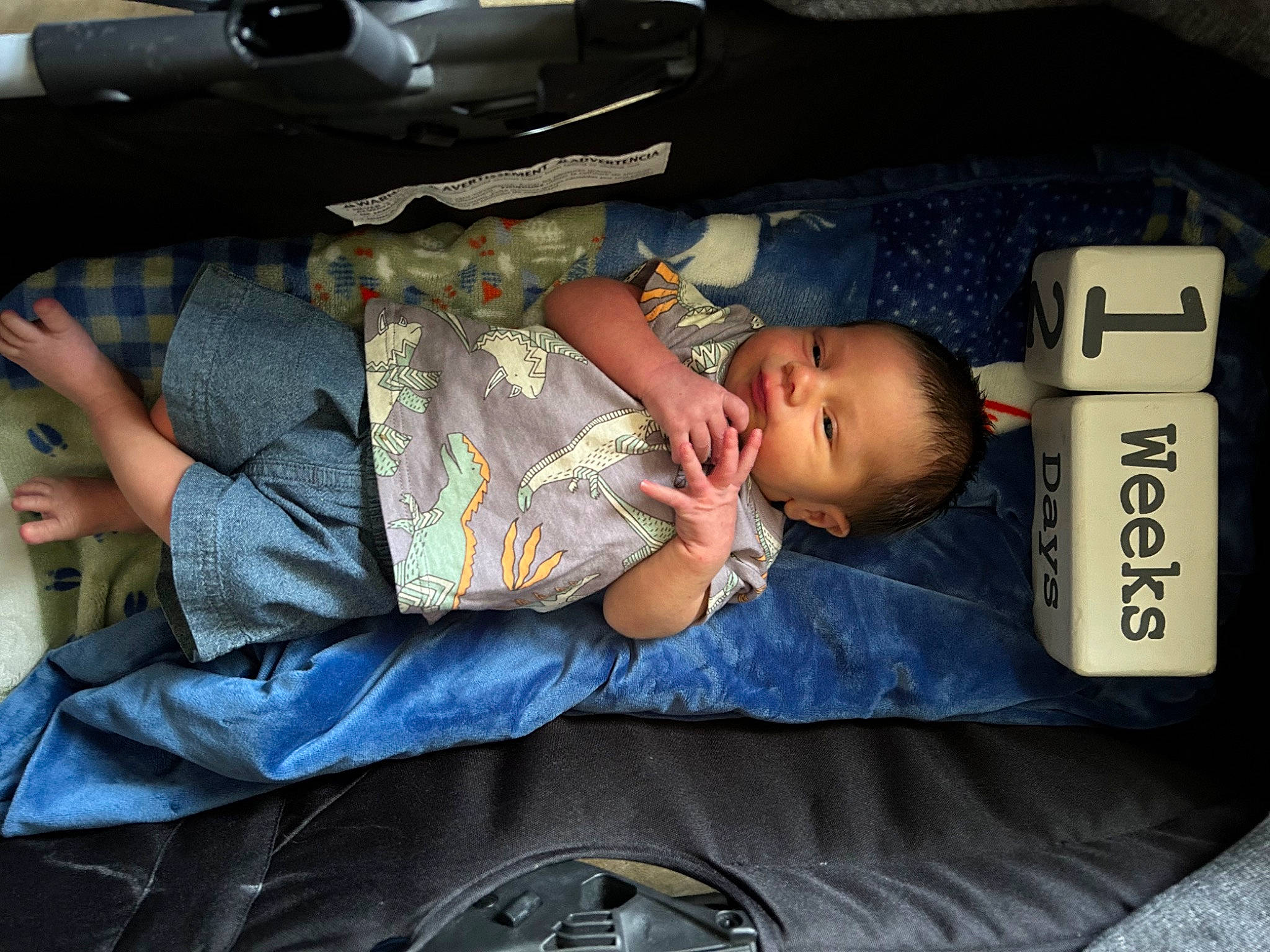 Blaze is registered to the contest to win money with this photo: auto_part, automotive_design, automotive_exterior, baby, baby_products, bumper, car_seat, child, comfort, cool, family_car, fun, lap, luxury_vehicle, motor_vehicle, nap, person, room, sitting, toddler