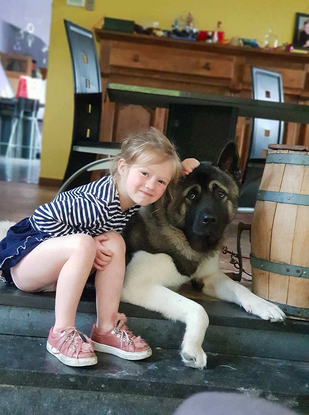 Lorelei a rejoint le concours — aidez-le/la à gagner de superbes lots ! akita, carnivoran, dog, dog_breed, dog_breed_group, dog_like_mammal, girl, joy, mammal, person