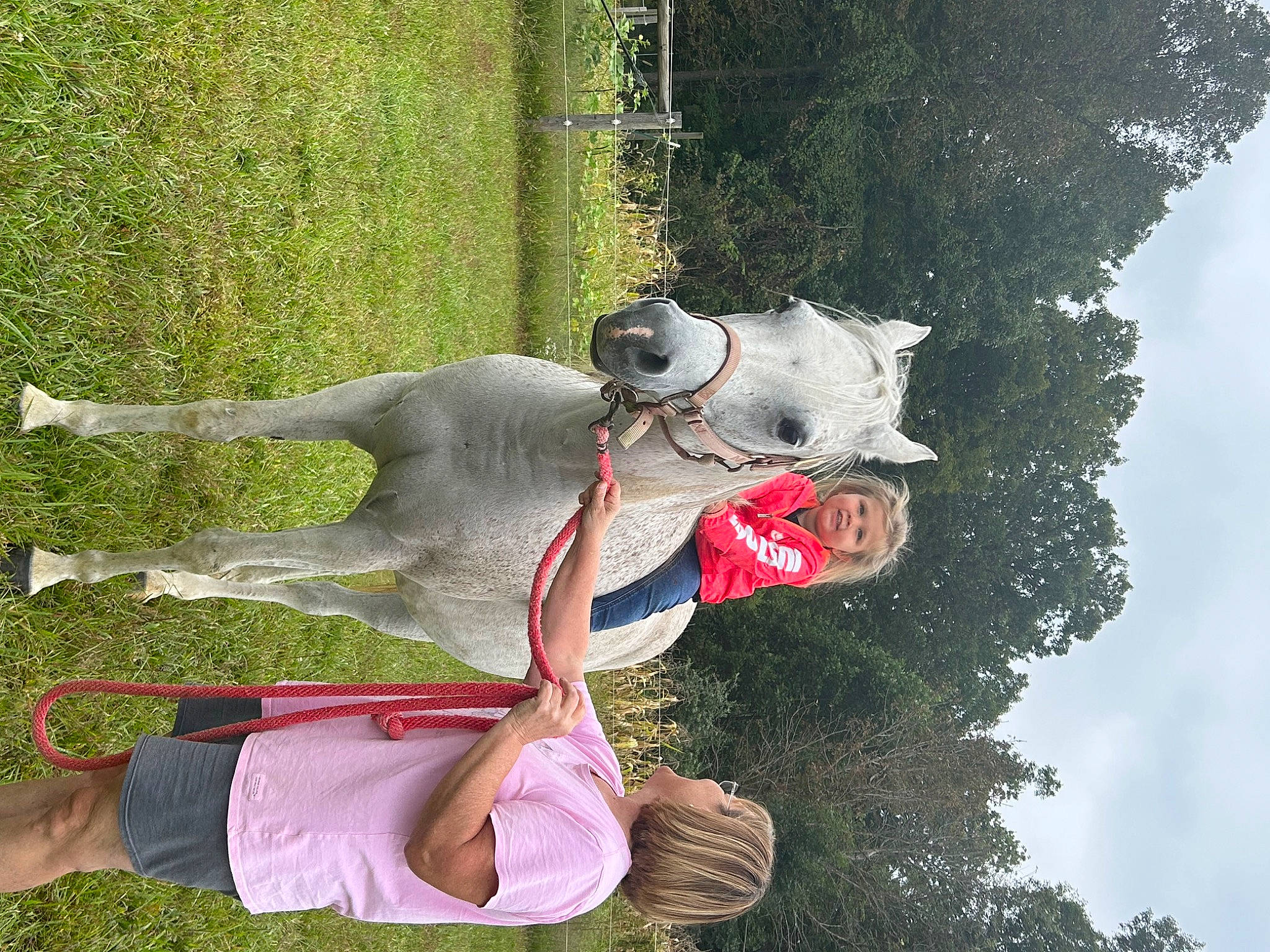 Mariana is registered to the contest to win money with this photo: adventure, carmine, dog, fun, grass, happy, leisure, people_in_nature, person, plant, pole, recreation, sculpture, sky, tail, tree, trunk