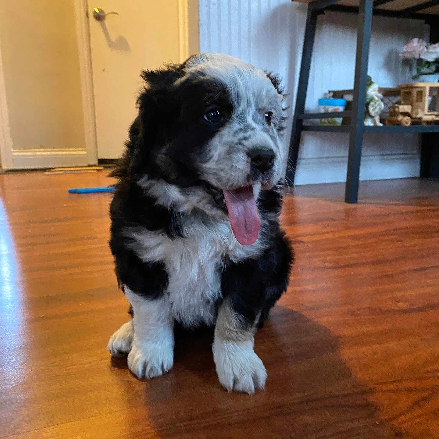 Mabel