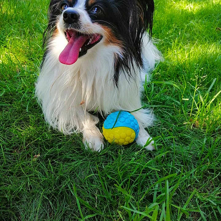 Jack