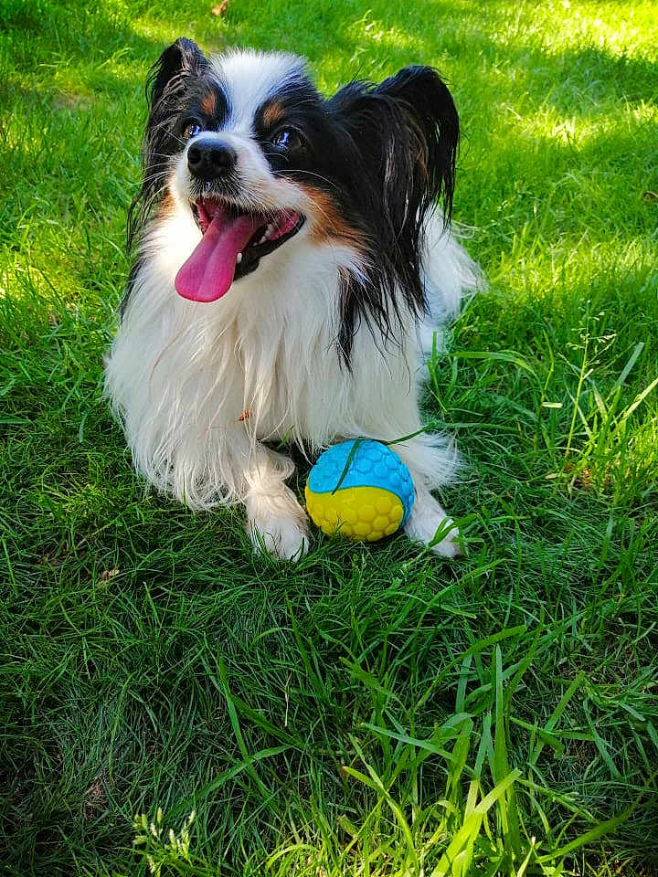 Jack