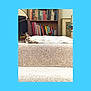 Leah is registered to the contest to win money with this photo: cat, carpet, step, bookshelf, books, cat_toy, indoor, relaxed, sleeping, pet, feline, home, library, colorful, animal, resting, cozy, quiet, furniture, decor