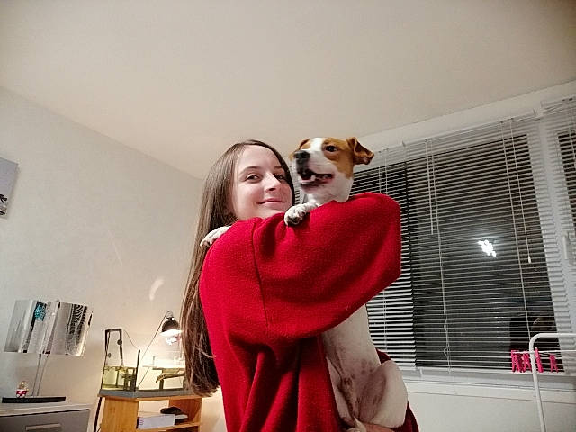 Nesco a rejoint le concours — aidez-le/la à gagner de superbes lots ! abdomen, canidae, carnivore, companion_dog, dog, dog_breed, ear, fawn, happy, joy, outerwear, pembroke_welsh_corgi, person, red, selfie, shoulder, welsh_corgi