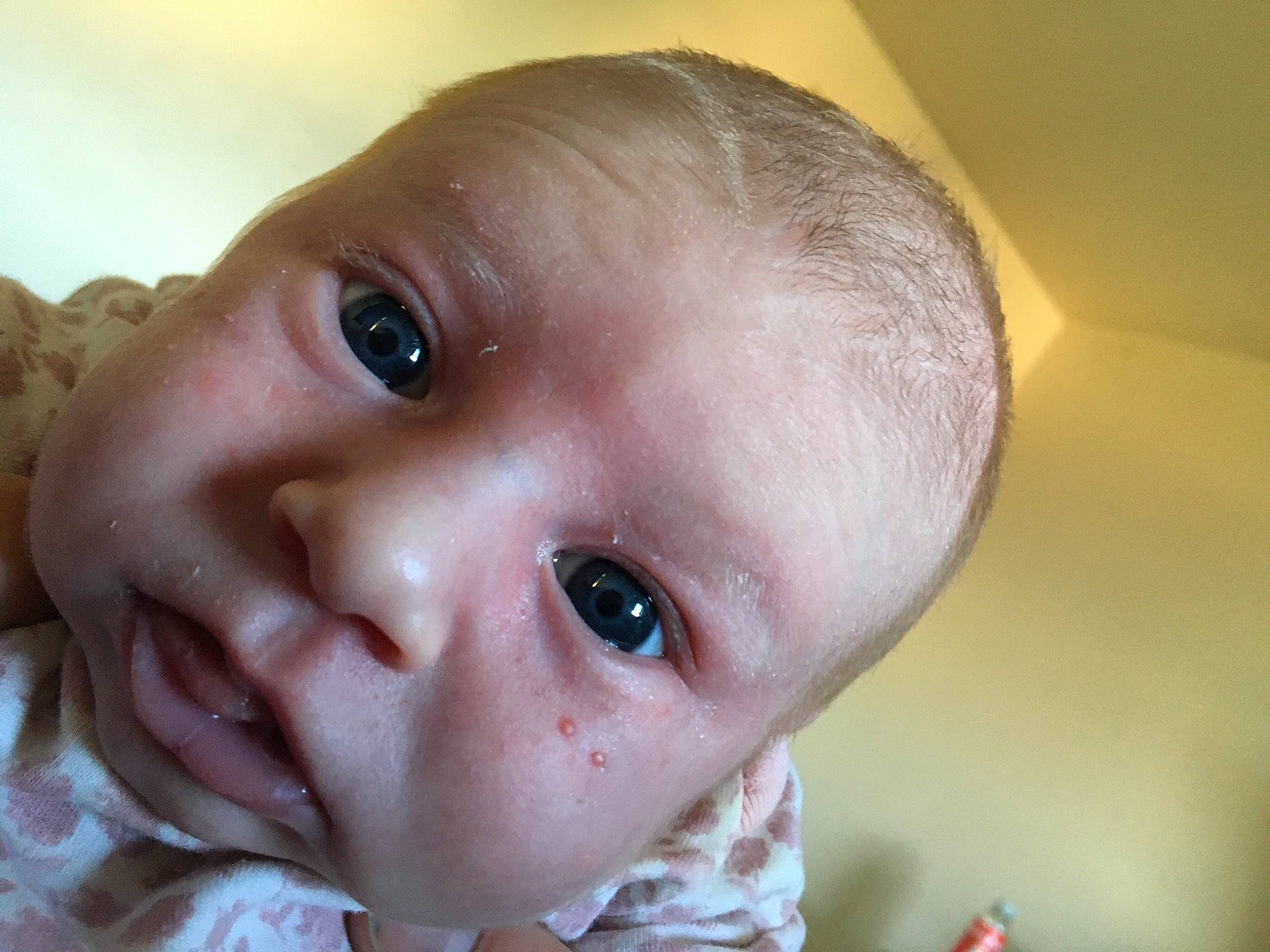 Alaina is registered to the contest to win money with this photo: baby, baby_toddler_clothing, cheek, child, close_up, ear, eye, eyebrow, eyelash, happy, head, human_body, iris, jaw, lip, neck, nose, person, skin, smile