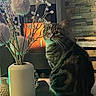 cat, tabby_cat, vase, decorative_branches, fireplace, indoor, cozy, stone_wall, wood, table, curious, pet, furniture, warm_light, home_decor, animal, domestic_cat, sitting, whiskers, tail