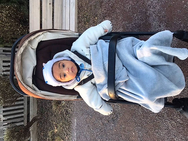 Swan a rejoint le concours — aidez-le/la à gagner de superbes lots ! child, comfort, denim, electric_blue, fun, grass, hat, headwear, human_body, human_leg, jacket, leisure, person, plant, sitting, surprise, toddler, tree, winter