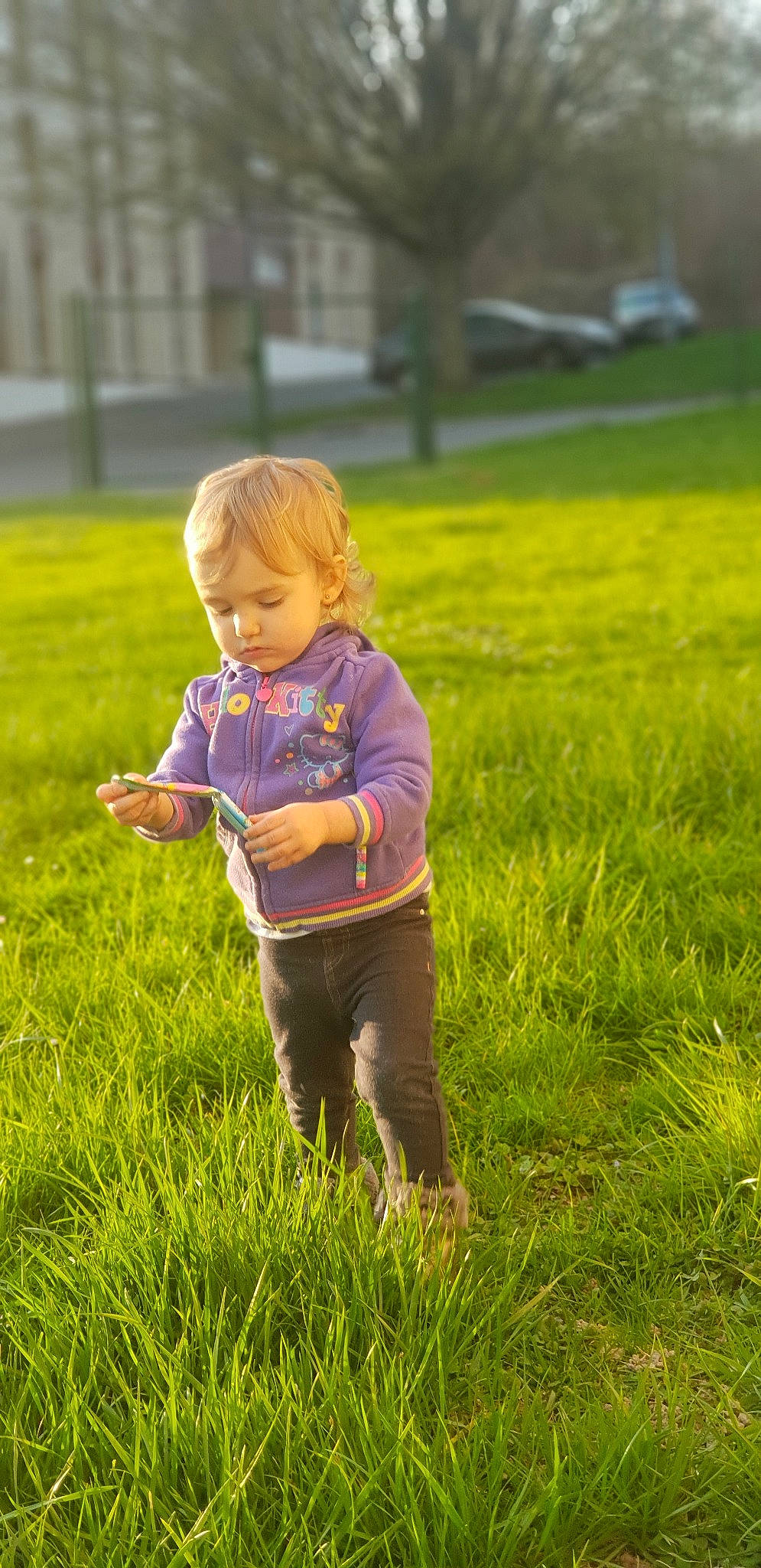 Hachley participe au concours pour gagner de l'argent avec cette photo : child, fun, grass, grass_family, grassland, green, happy, lawn, meadow, paddy_field, pasture, people_in_nature, person, photography, plant, play, smile, spring, toddler, walking