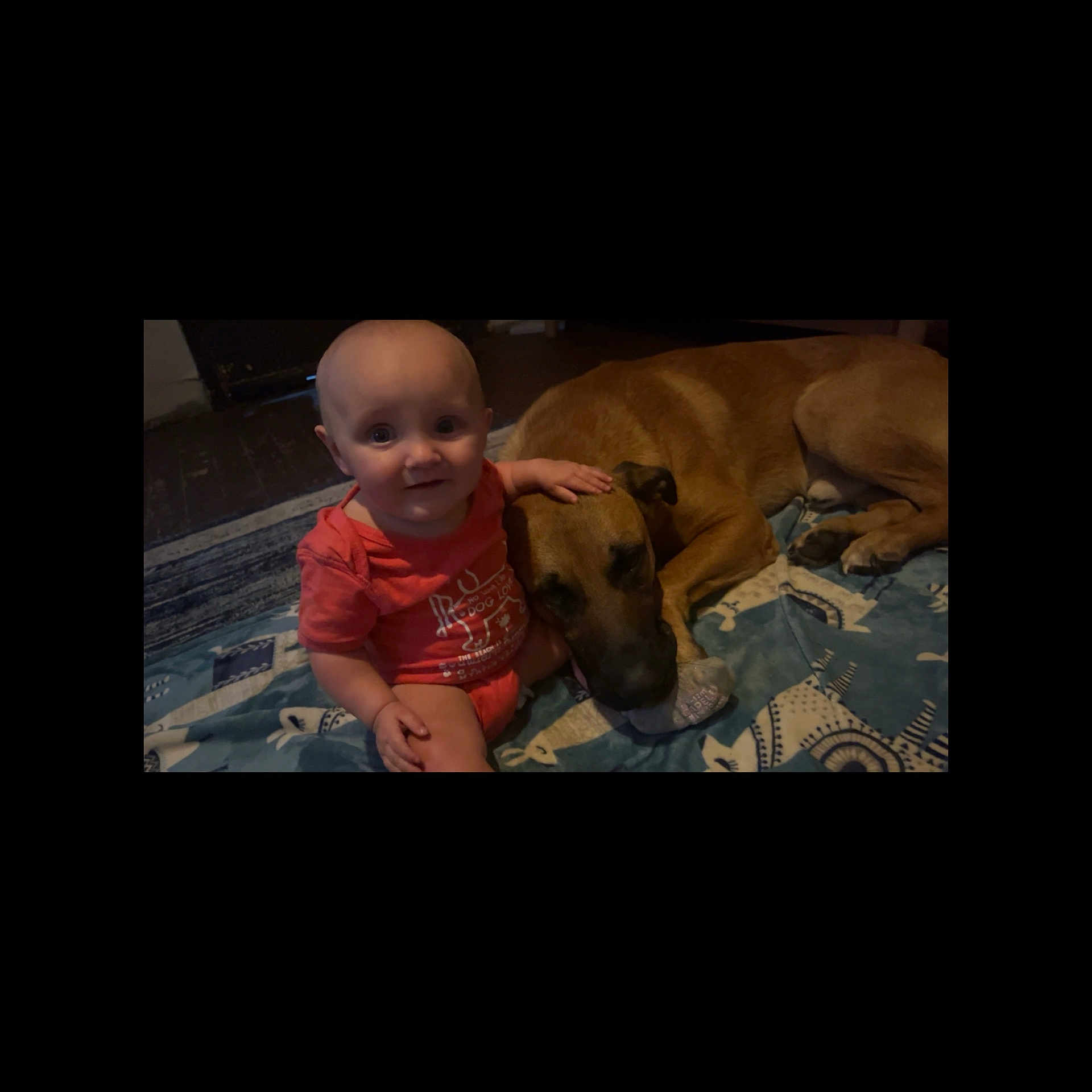 Nevaeh is registered to the contest to win money with this photo: accessories, animal, baby, bodypart, canine, clothing, couch, dog, face, finger, furniture, hand, head, hound, person, pet, photography, portrait, puppy, t_shirt