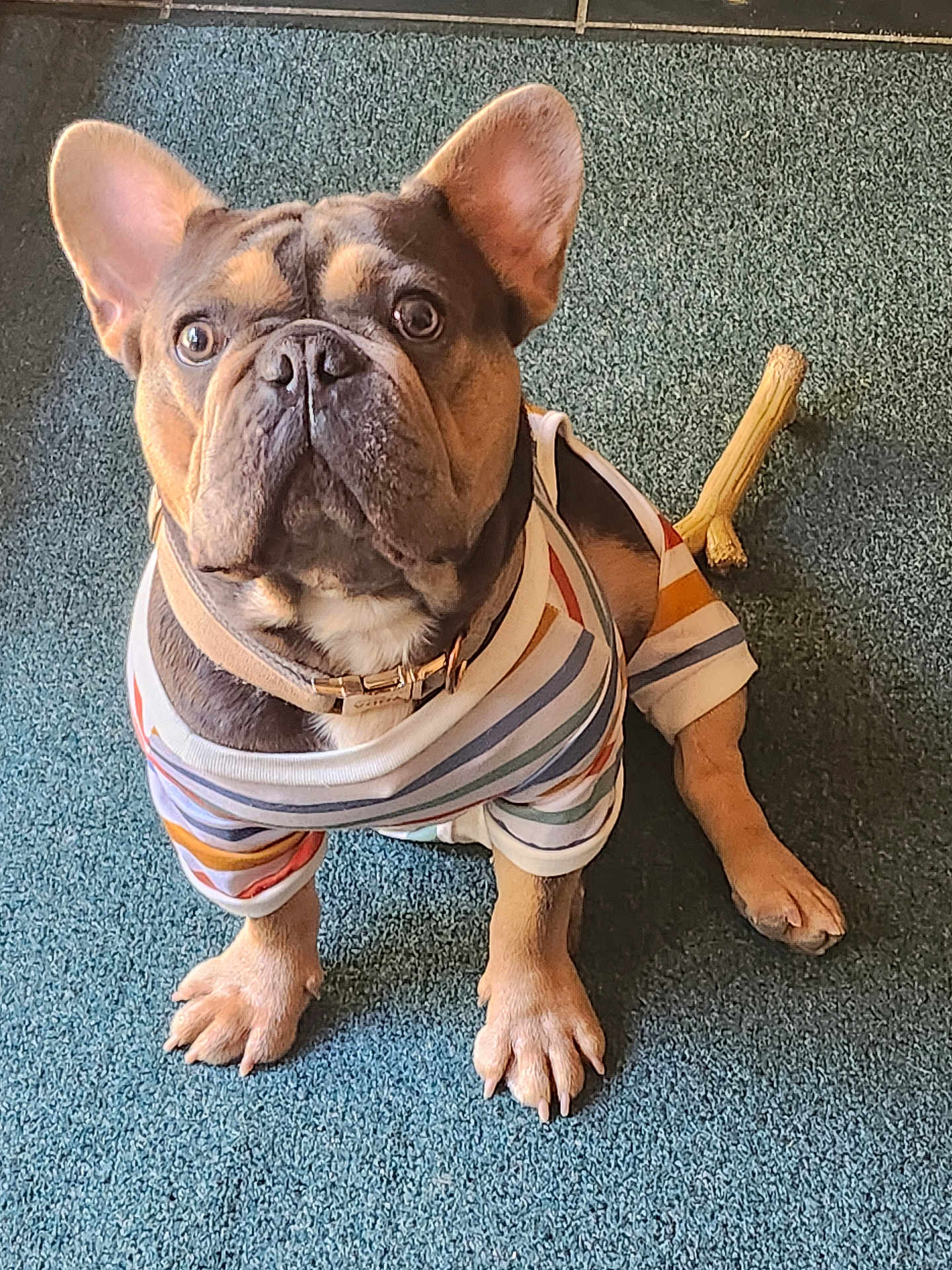 Yoda