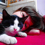 Coquiette a rejoint le concours — aidez-le/la à gagner de superbes lots ! carnivore, cat, domestic_short_haired_cat, felidae, fur, kitten, mammal, nap, paw, polydactyl_cat, small_to_medium_sized_cats, whiskers