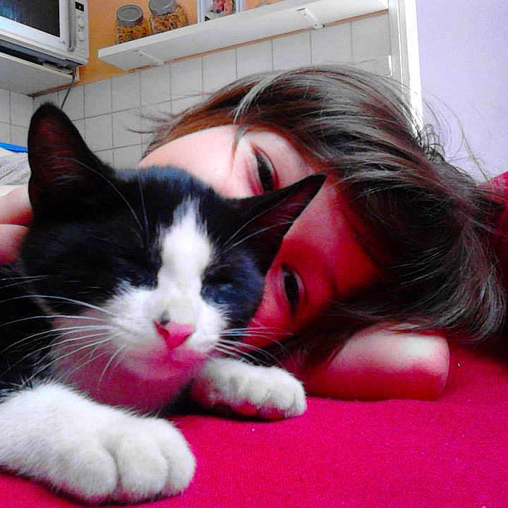 Coquiette a rejoint le concours — aidez-le/la à gagner de superbes lots ! carnivore, cat, domestic_short_haired_cat, felidae, fur, kitten, mammal, nap, paw, polydactyl_cat, small_to_medium_sized_cats, whiskers