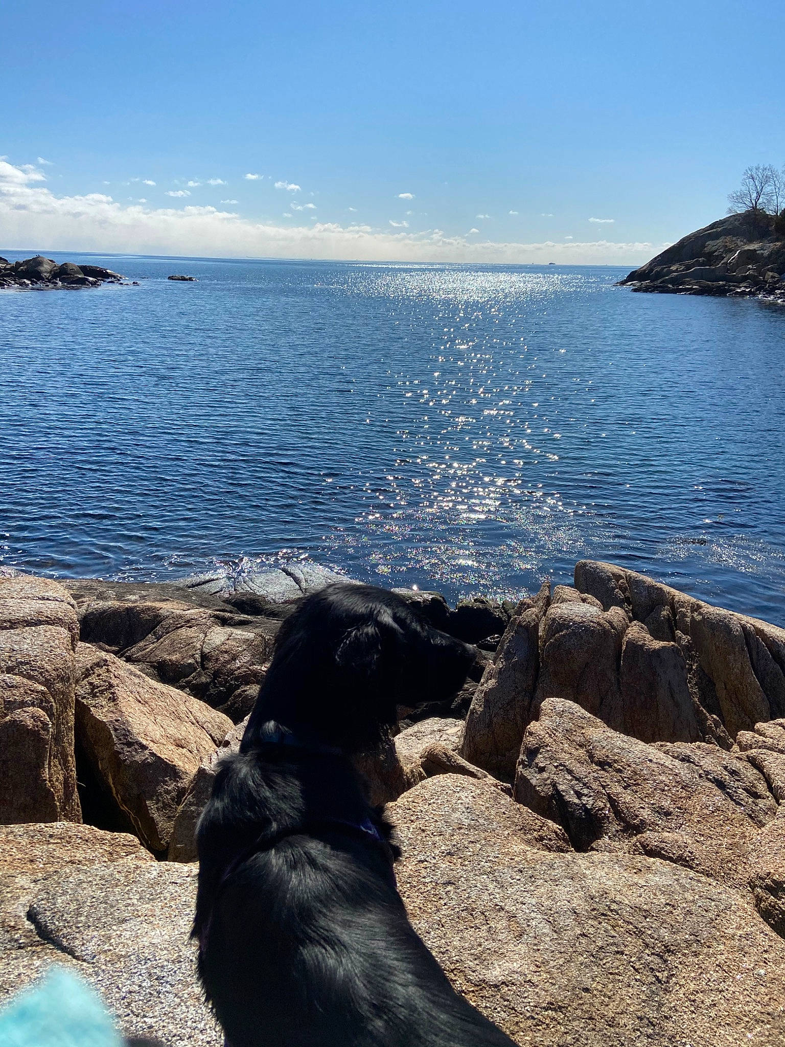 Winnie joined the competition — help win amazing prizes! bay, beach, blue, cloud, coast, coastal_and_oceanic_landforms, headland, horizon, mountain, ocean, rock, sea, shore, sky, sporting_group, summer, vacation, water, wave, wind_wave