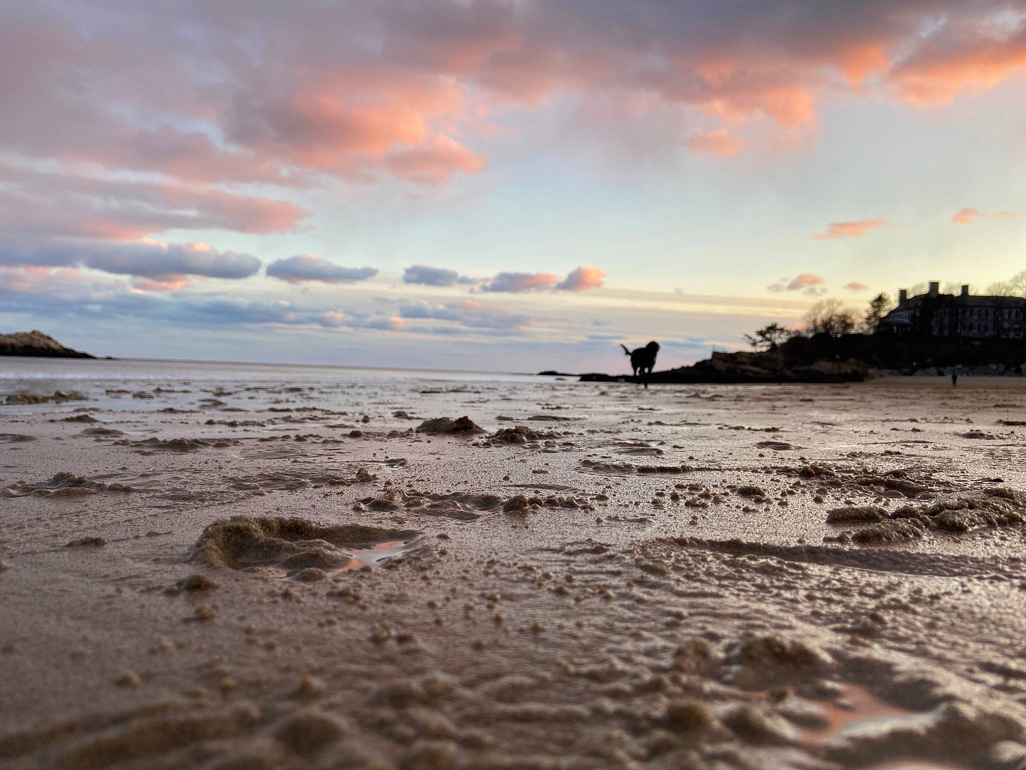 Winnie is registered to the contest to win money with this photo: beach, body_of_water, calm, cloud, coast, evening, horizon, morning, ocean, rock, sand, sea, shore, sky, sunset, tree, vacation, water, wave, wind_wave