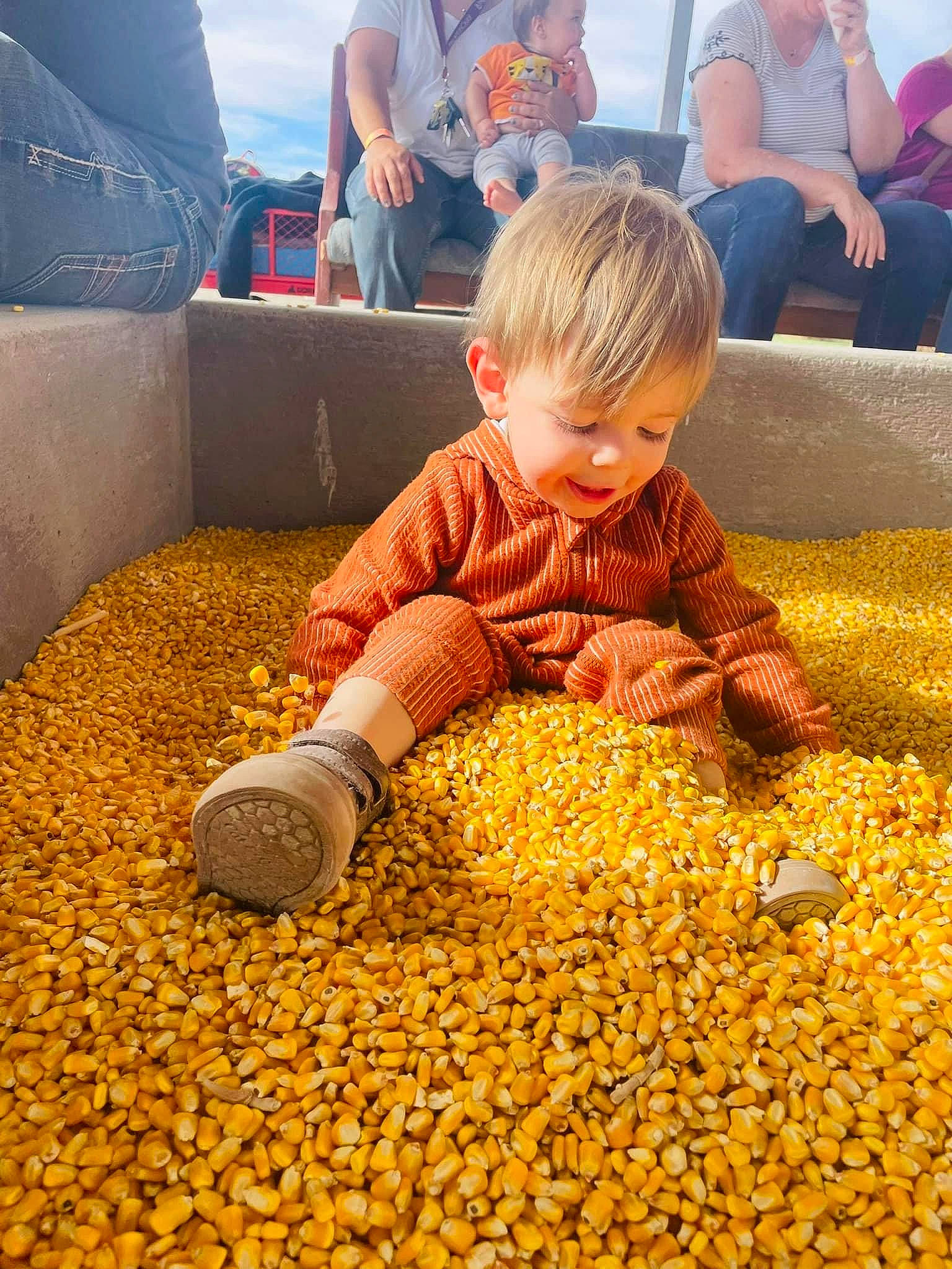 Kaiser joined the competition — help win amazing prizes! autumn, carpet, chair, child, deciduous, flooring, fun, grass, happy, ingredient, leisure, luggage_and_bags, natural_foods, people_in_nature, person, sitting, soil, t_shirt, toddler