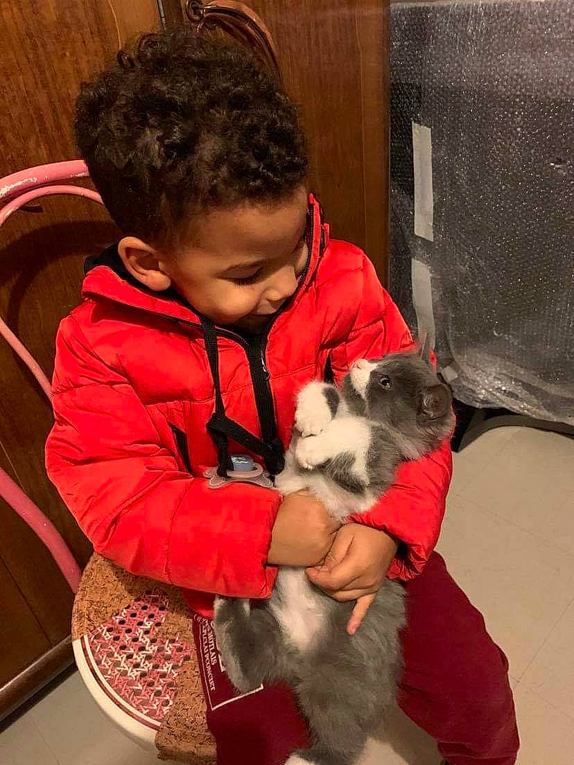 Marley-djibril a rejoint le concours — aidez-le/la à gagner de superbes lots ! baby_toddler_clothing, canidae, carnivore, child, comfort, companion_dog, dog, dog_breed, dog_supply, fawn, felidae, fur, lap, mammal, person, sitting, sleeve, sporting_group, stuffed_toy, toddler