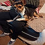 black_and_tan, blanket, brown_dog, casual, chair, comfort, cozy, dog, home, indoor, lap, person, pet, phone, quilt, relaxed, sitting, slippers, small_dog, wood_floor