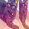 cat, black_cat, animal, pet, feline, glasses, cartoon_glasses, pixel_art, stickers, digital_filter, portrait, close_up, indoor, tiled_floor, wall, sitting, lying_down, green_eyes, pointed_ears, funny