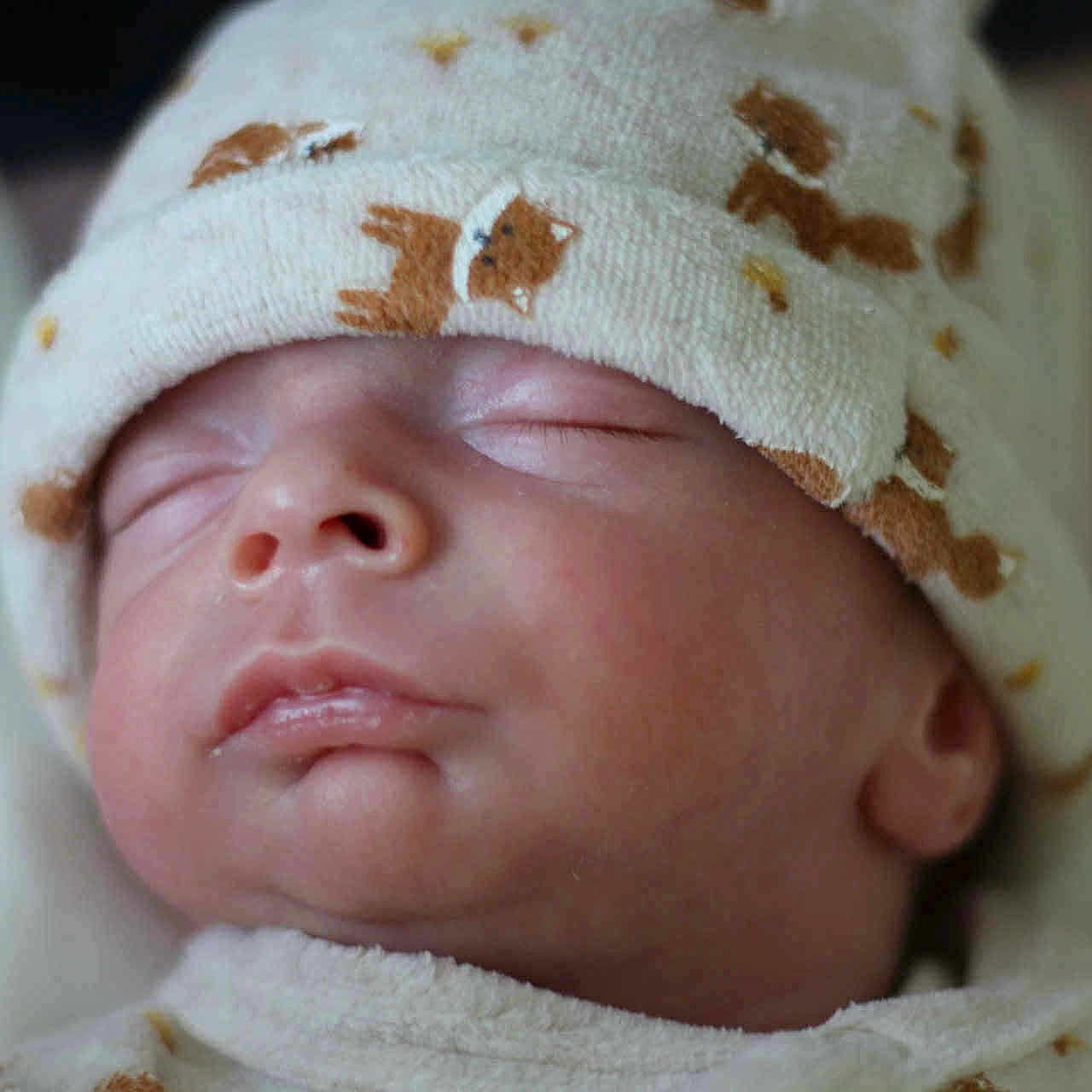 Ayden a rejoint le concours — aidez-le/la à gagner de superbes lots ! apparel, baby, child, close_up, clothing, cozy, cute, face, fox, hat, infant, newborn, pattern, peaceful, portrait, resting, skin, sleeping, soft_focus, warm