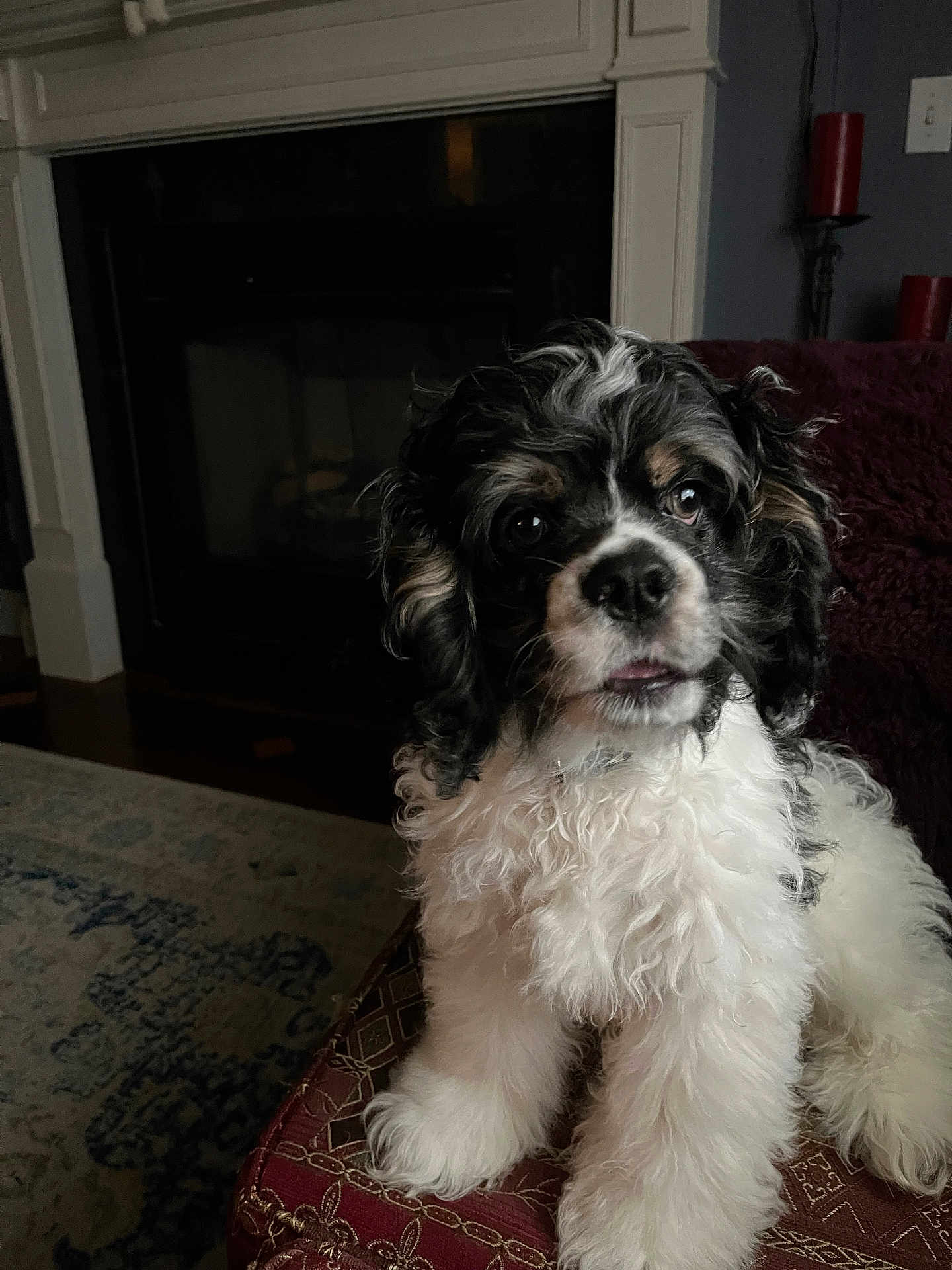 Casey