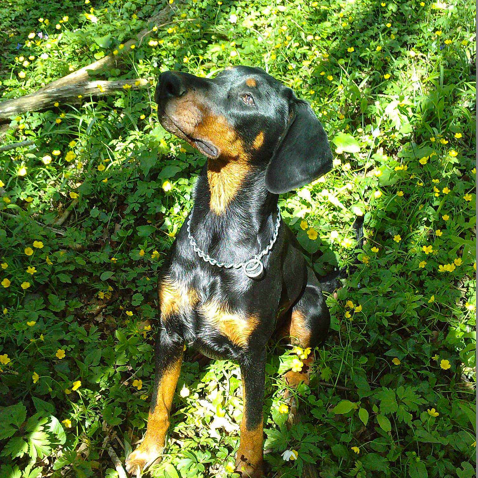 Ilfelina a rejoint le concours — aidez-le/la à gagner de superbes lots !