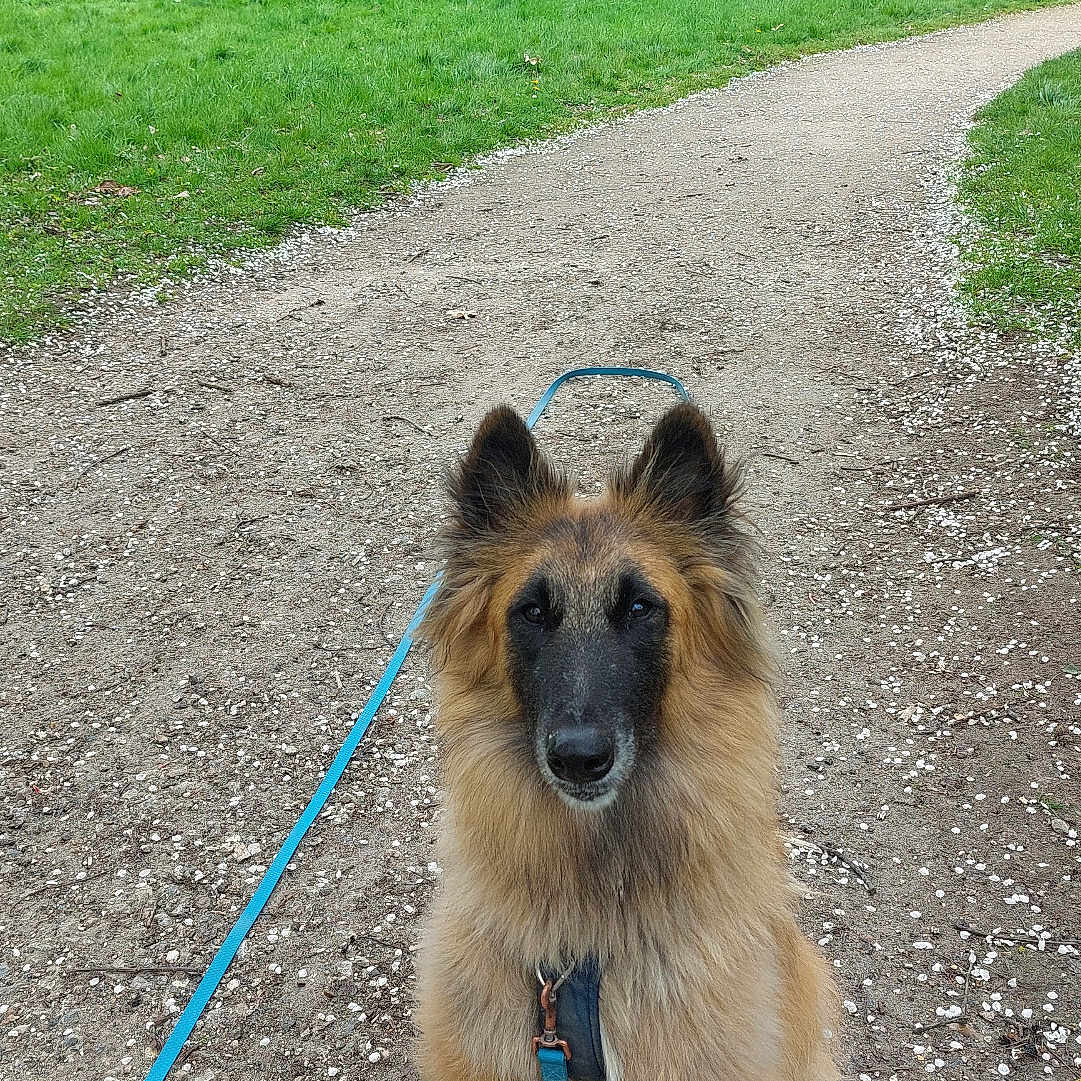 Cooper