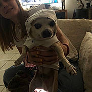 Obiwan a rejoint le concours — aidez-le/la à gagner de superbes lots ! dog, hoodie, person, hand, nail_polish, living_room, couch, television, indoor, floor, tile_floor, smile, furniture, casual_clothing, holding, pet, animal, home_decor, relaxed, seated