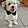 Balou