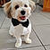 Balou