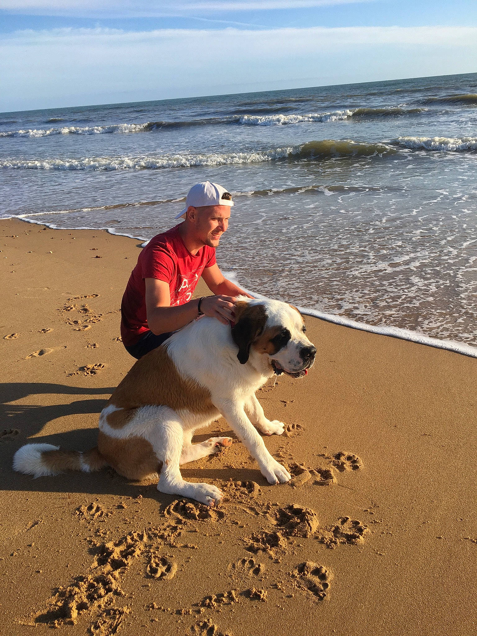 Oasis participe au concours pour gagner de l'argent avec cette photo : beach, body_of_water, carnivore, coast, coastal_and_oceanic_landforms, companion_dog, dog, dog_breed, holiday, human, mammal, ocean, sand, sea, shore, sporting_group, vacation, vertebrate, water, wave