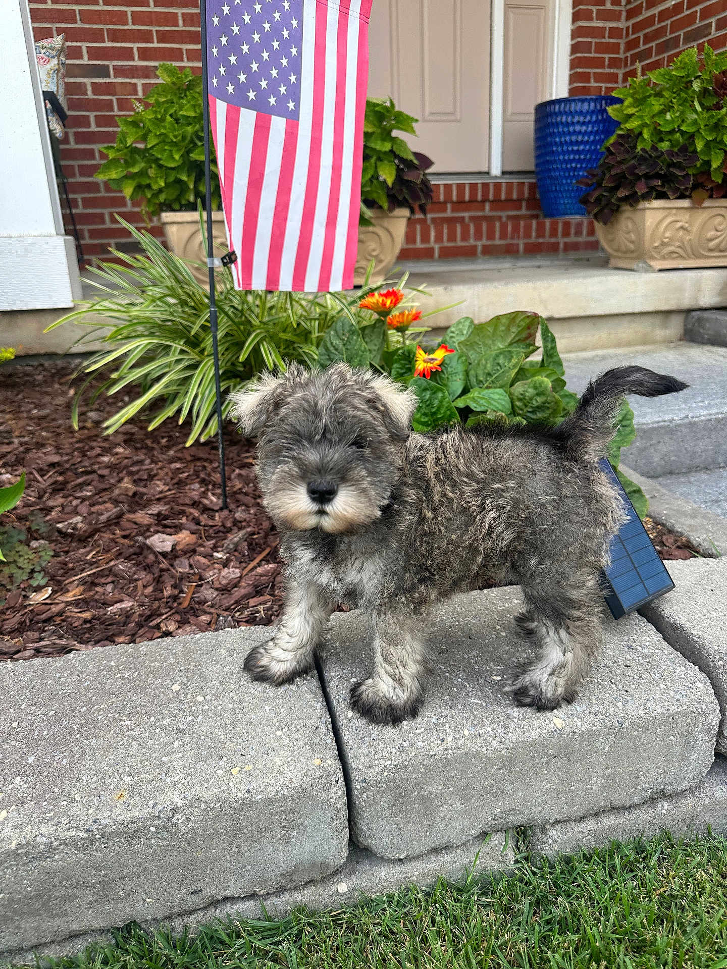 Zeus