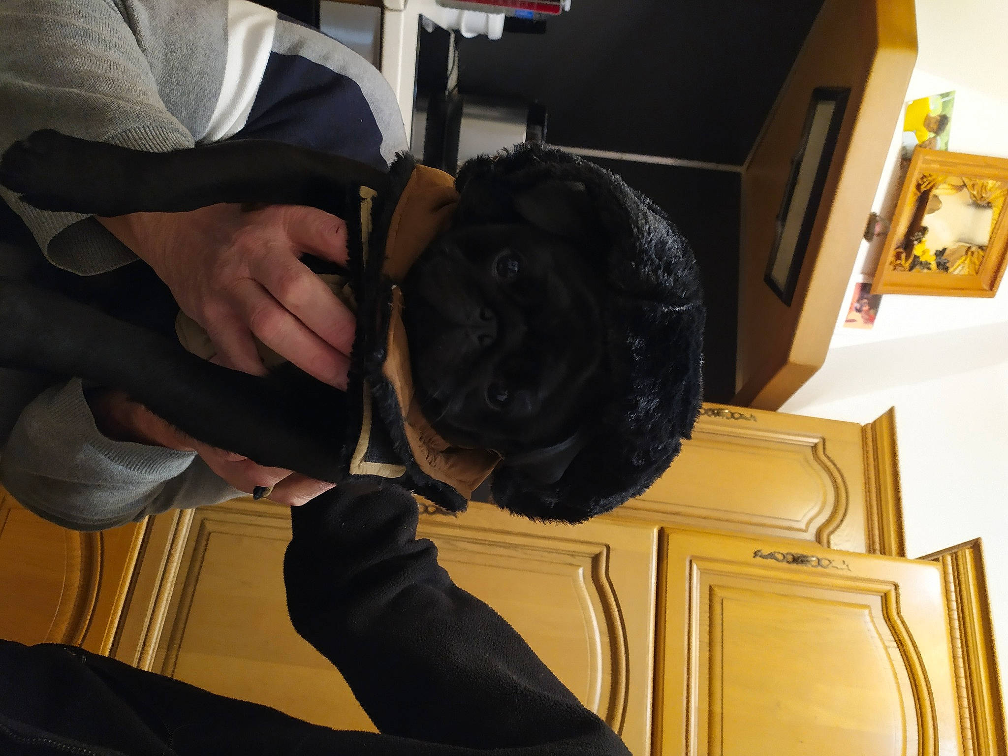 Stanley a rejoint le concours — aidez-le/la à gagner de superbes lots ! camera_lens, cameras_optics, eyewear, fashion_accessory, felidae, finger, gesture, glove, hand, helmet, nail, personal_protective_equipment, reflex_camera, room, single_lens_reflex_camera, sleeve, sunglasses, thumb, wood, wrist