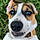 Arlo