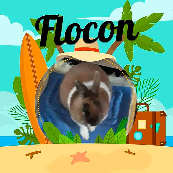 Flocon
