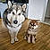 Blue Et Aska