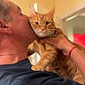man, cat, indoor, affection, ginger_cat, holding, kiss, love, pet, animal, human, face, closeup, casual_clothing, wall, doorway, red_bracelet, expression, domestic, interaction