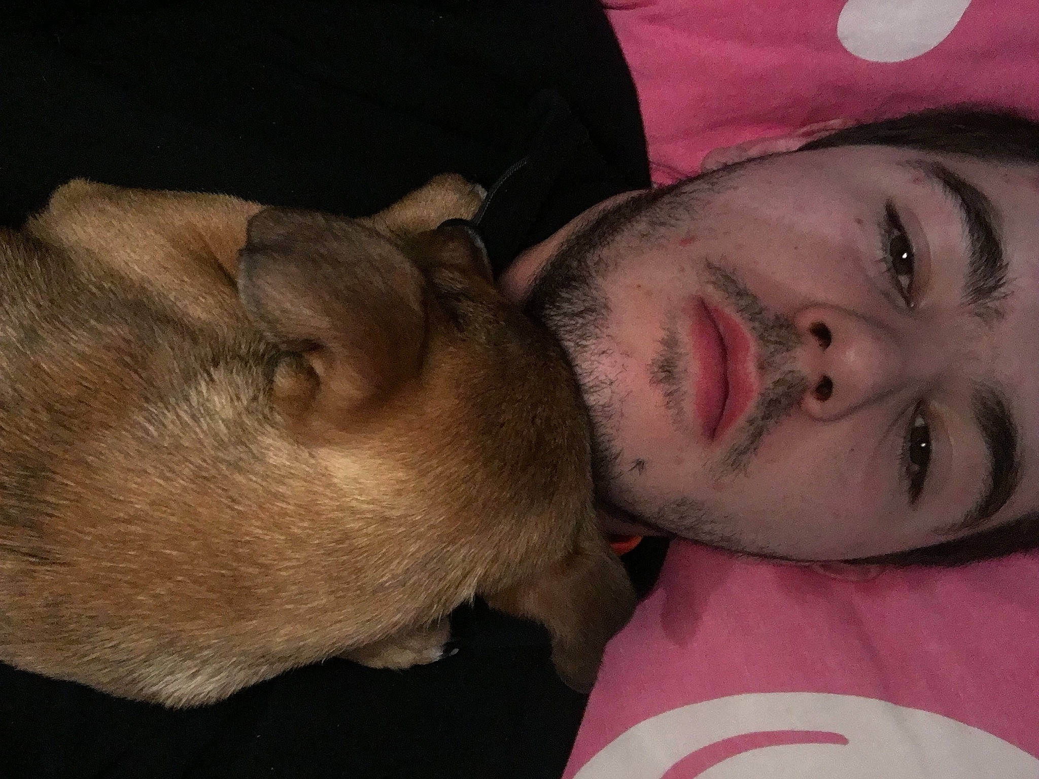 Gratouille participe au concours pour gagner de l'argent avec cette photo : beard, carnivore, cheek, comfort, companion_dog, dog, dog_breed, ear, eyelash, gesture, happy, jaw, mammal, mouth, neck, nose, selfie, skin, vertebrate, whiskers