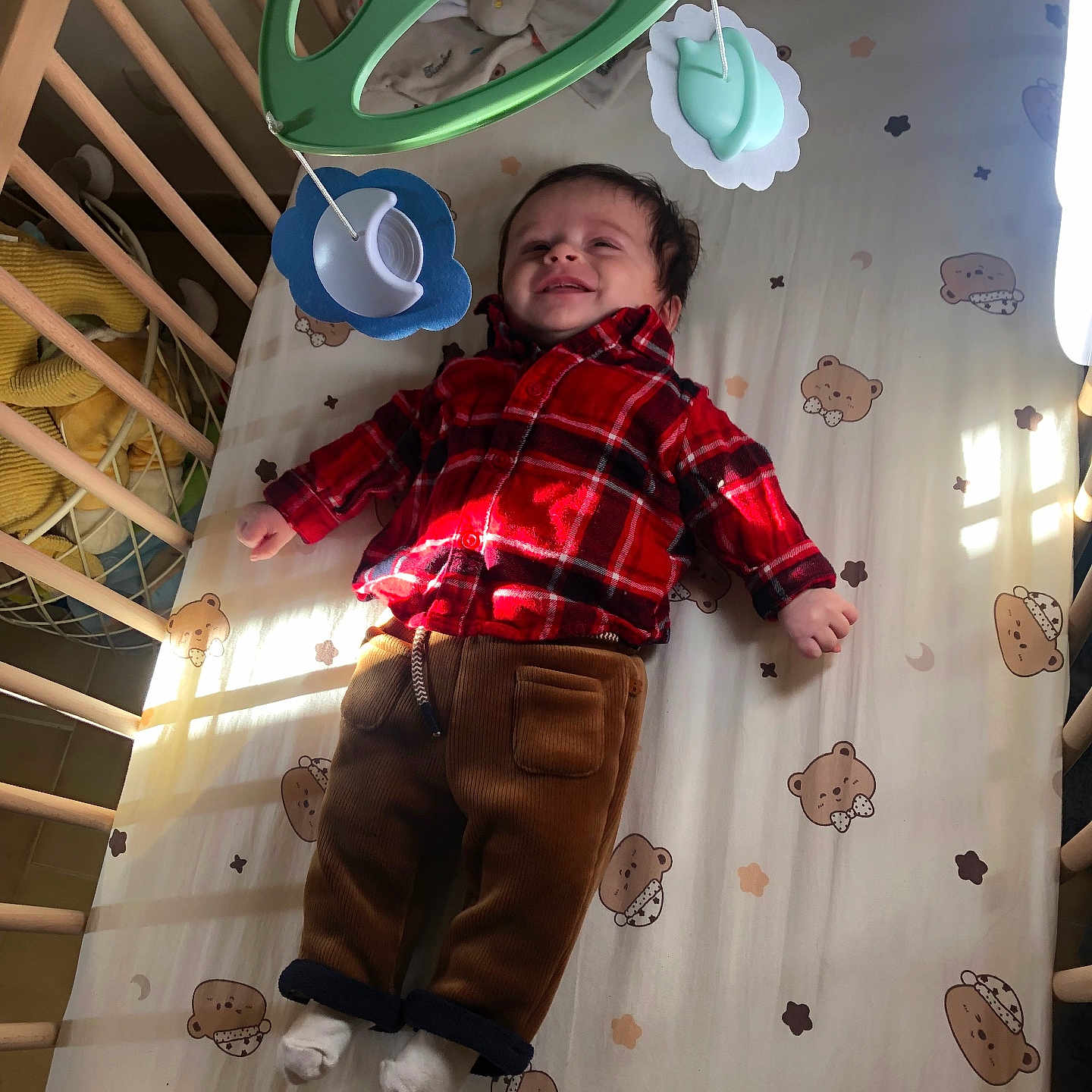 Timeo participe au concours pour gagner de l'argent avec cette photo : animal, baby, bed, cat, clothing, cradle, crib, cup, face, furniture, head, indoors, infantbed, nursery, pants, person, pet, photography, portrait, standing