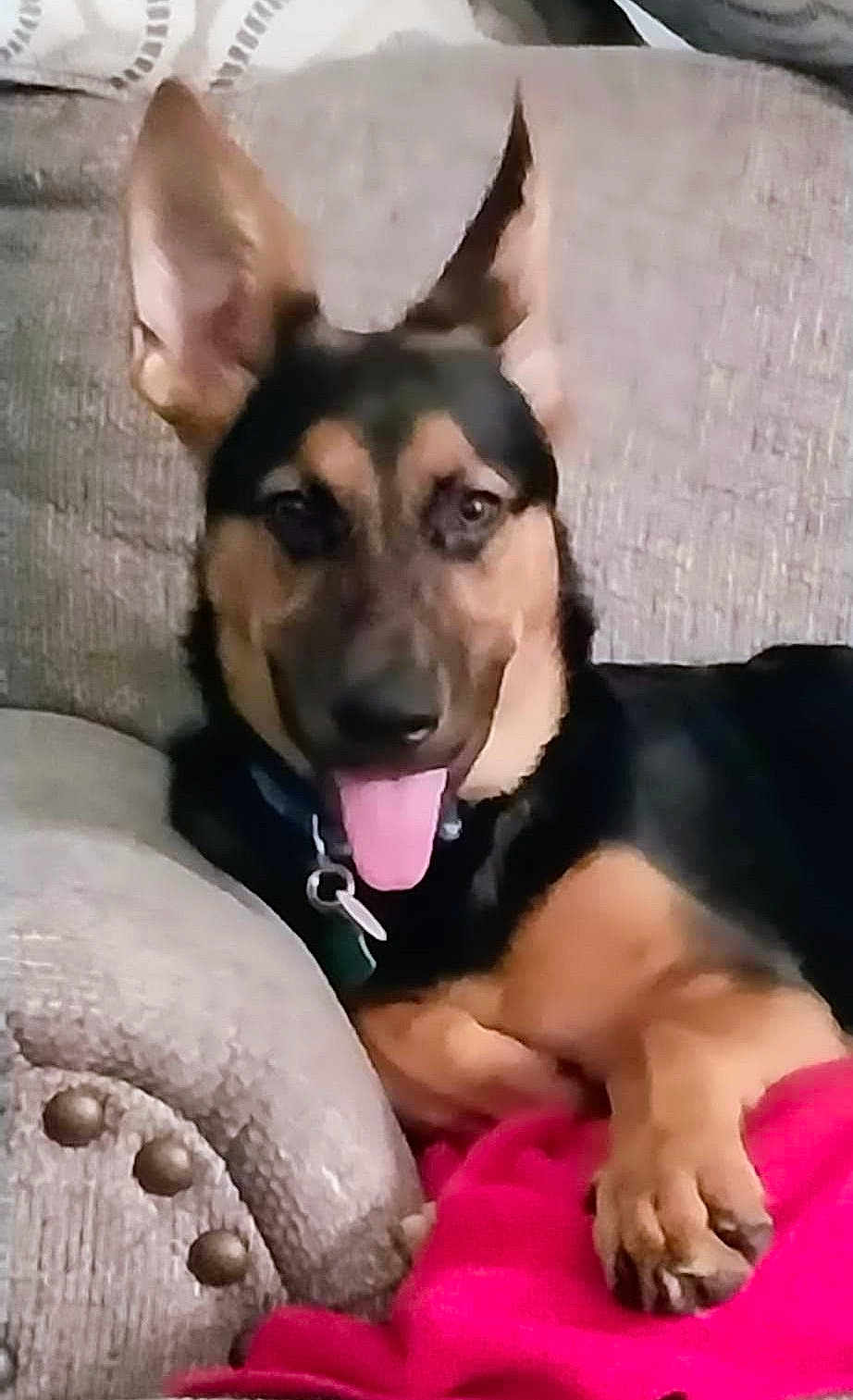 Cooper